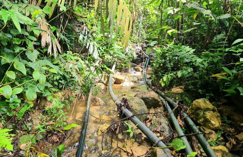 bfd00ed5-ea91-408f-8622-81cc5fdabc2c