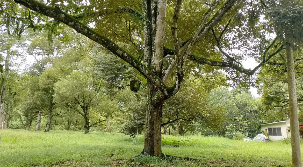 311043614_171593142117467_1974410497321355752_n