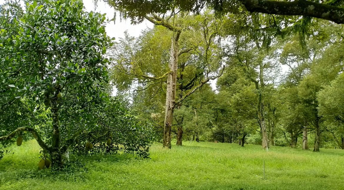 311167320_171593065450808_6633415434300923057_n