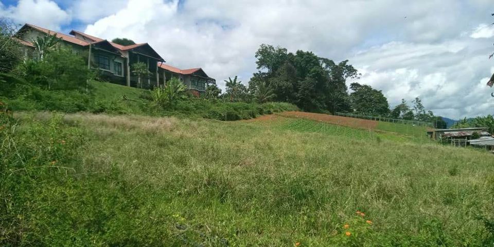 313173500_5770007143020967_1661981633538996769_n