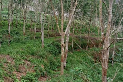 Tanah Legong Ilir Rembau