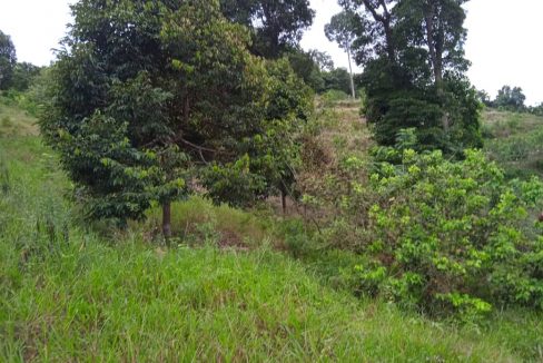 Tanah Sungkak Ulu Muar Kuala Pilah