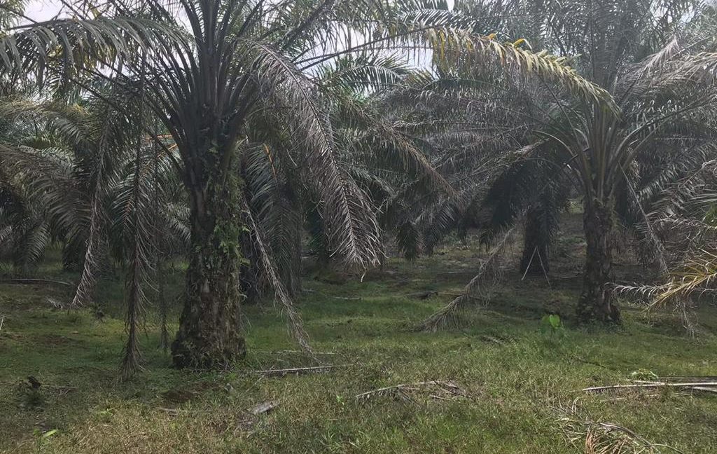 9303b2ca-3a9e-4a8f-98e1-bd1065b7052f