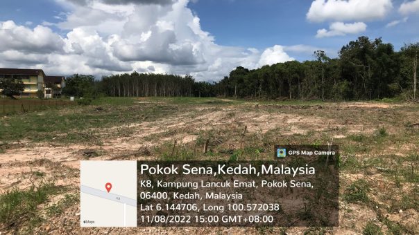 Bukit Payong Pokok Sena