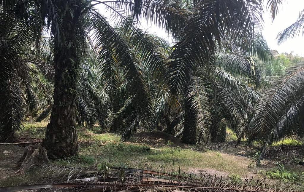 f4c9db01-7c21-42db-814c-39a1026dc6f7