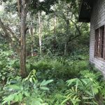 Tanah Dusun Bukit Kapal Padang Terap