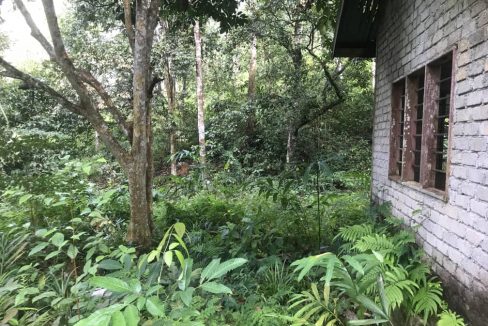 Tanah Dusun Bukit Kapal Padang Terap