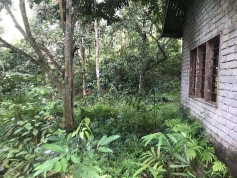 Tanah Dusun Bukit Kapal