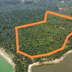 Tanah sawit Batu Gajah Perak