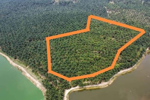 Tanah sawit Batu Gajah Perak