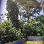 Tanah Kebun Sungai Sedim Kulim Kedah