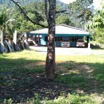 Tanah Dusun Sedim Kedah