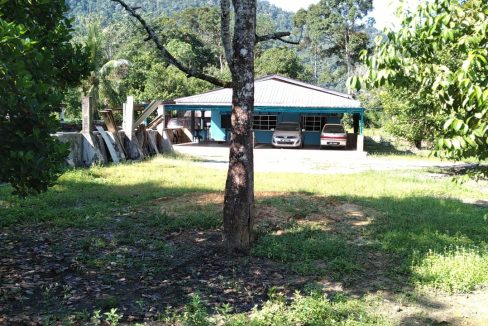 Tanah Dusun Sedim Kedah