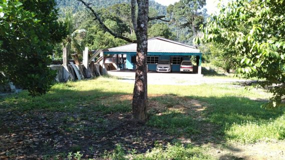 Tanah Dusun Sedim Kedah