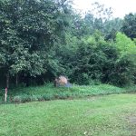 Tanah Lot Banglo Sungai Petani