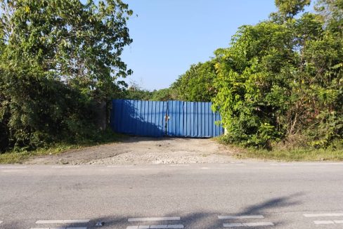 Tanah Sungai Limau Baling Kedah