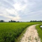 Tanah Seberang Perai Penang