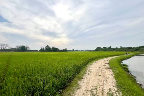 Tanah Seberang Perai Penang