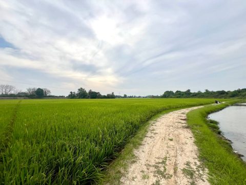 Tanah Seberang Perai Penang