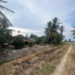 Tanah Guar Kepang Penang