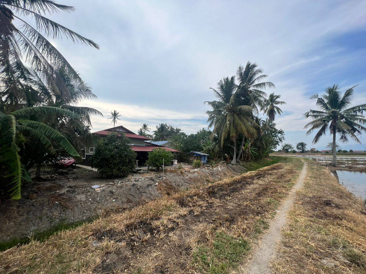 Tanah Guar Kepang Penang