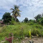 Tanah Kampung Sebrang Perai Penang