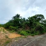 Tanah Dengkil Sepang Selangor