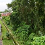 Tanah Kampung Dato Abu Bakar Baginda