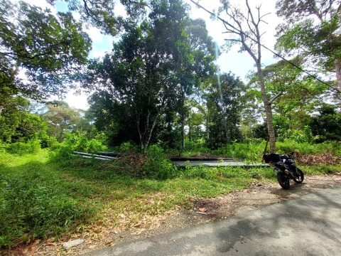 Perdik Hulu Langat