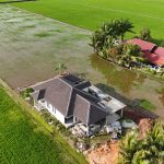 Tanah Tanjung Karang Selangor