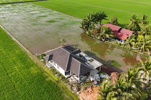 Tanah Tanjung Karang Selangor