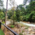 Resort Ulu Dong Raub