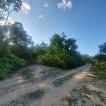 Tanah Titian Bintangor Rembau