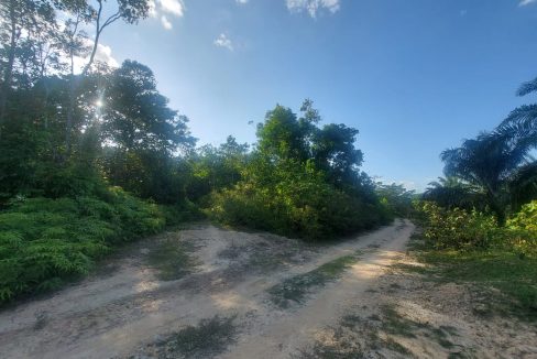 Tanah Titian Bintangor Rembau