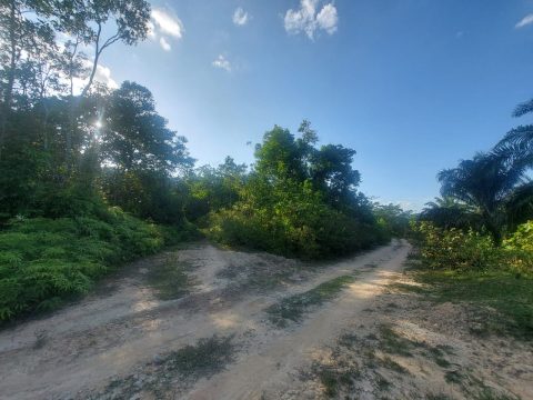 Tanah Titian Bintangor Rembau
