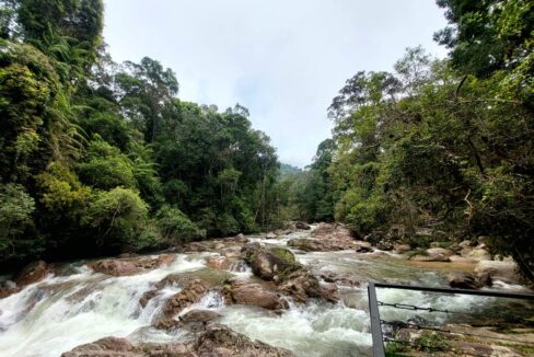 Resort Ulu Dong Raub