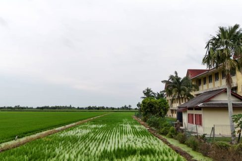 Tanah Pertanian Tanjung Karang