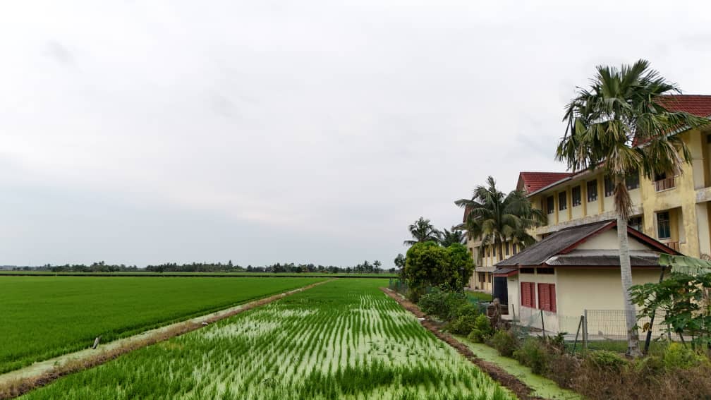 Tanah Pertanian Tanjung Karang