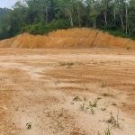 Kampung Serigala Sungai Selisek Ulu Bernam