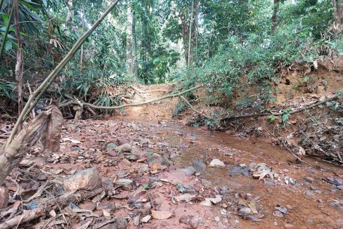 land Dusun Bilut Bentong Raub Pahang