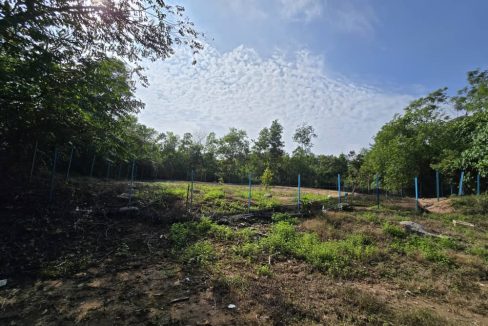 Tanah Tampin Negeri Sembilan