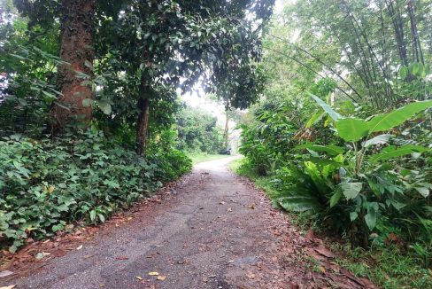 Agricultural Land Kampung Ulu Kalong Ulu Yam
