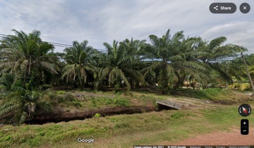 Air Hitam Johor land