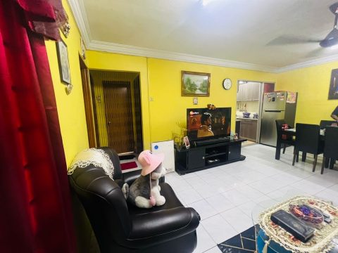 Bayu Apartment Damansara Damai