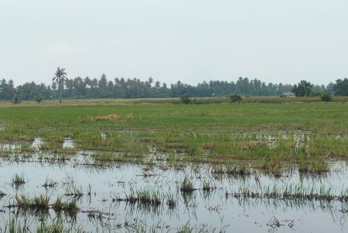 Permatang Ringan Kuala Muda Kedah