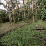 Tanah dusun Ulu Jelebu Kuala Klawang Negeri Sembilan