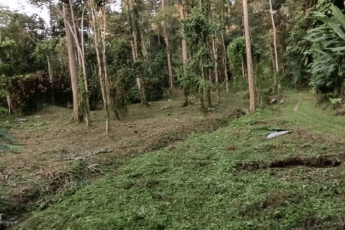 Tanah dusun Ulu Jelebu Kuala Klawang Negeri Sembilan