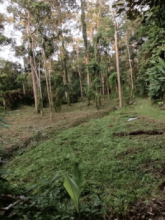 Ulu Jelebu Kuala Klawang