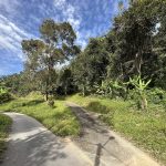 Tanah dusun Kuala Klawang Jelebu Negeri Sembilan
