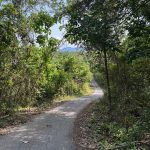 Tanah Dusun Kampung Kuala Pah Jelebu Negeri Sembilan